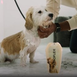 AeroFlexx: The Liquid Packaging Solution that Makes Everyday Life Better